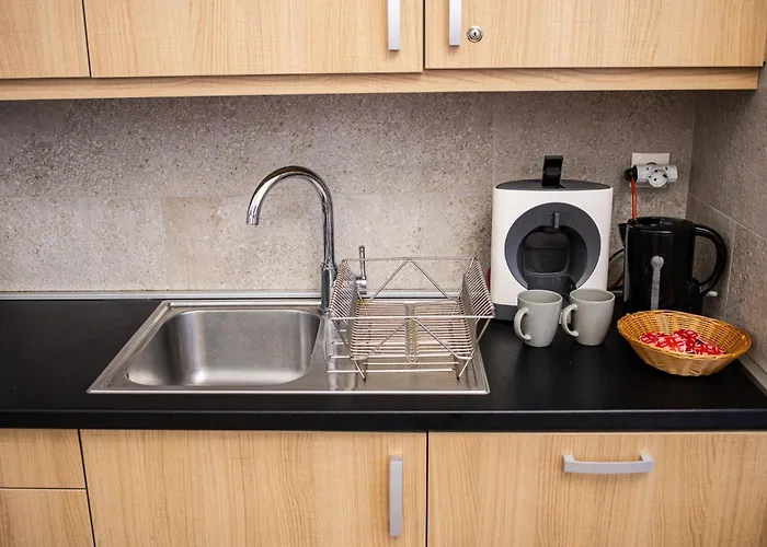 In Historical Building With Free Private Parking Apartment Budapest