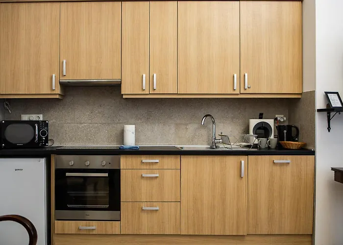 Apartman In Historical Building With Free Private Parking